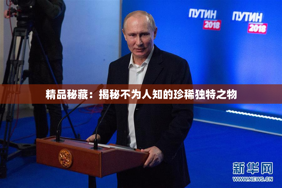精品秘藏：揭秘不为人知的珍稀独特之物
