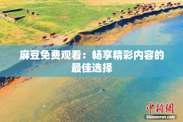 麻豆免费观看：畅享精彩内容的最佳选择
