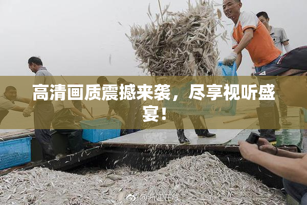 高清画质震撼来袭，尽享视听盛宴！