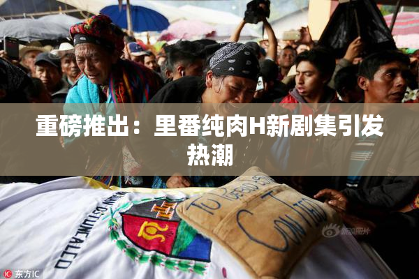 重磅推出：里番纯肉H新剧集引发热潮