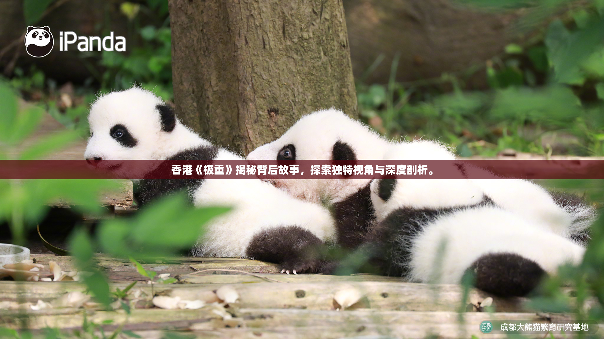 香港《极重》揭秘背后故事，探索独特视角与深度剖析。