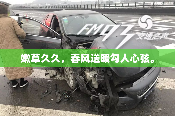 嫩草久久，春风送暖勾人心弦。