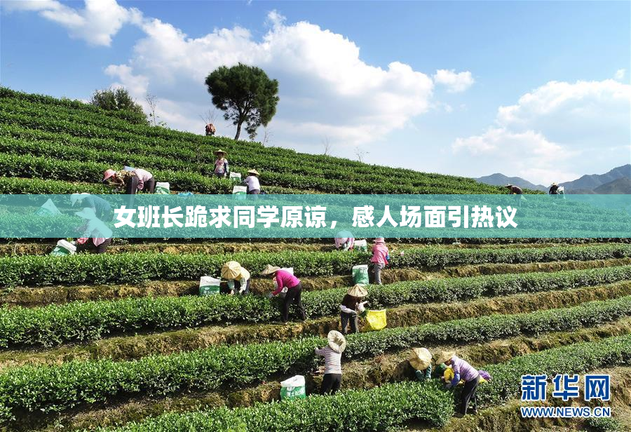 女班长跪求同学原谅，感人场面引热议