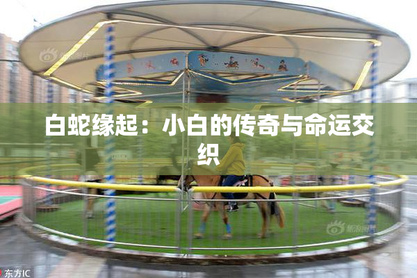 白蛇缘起：小白的传奇与命运交织