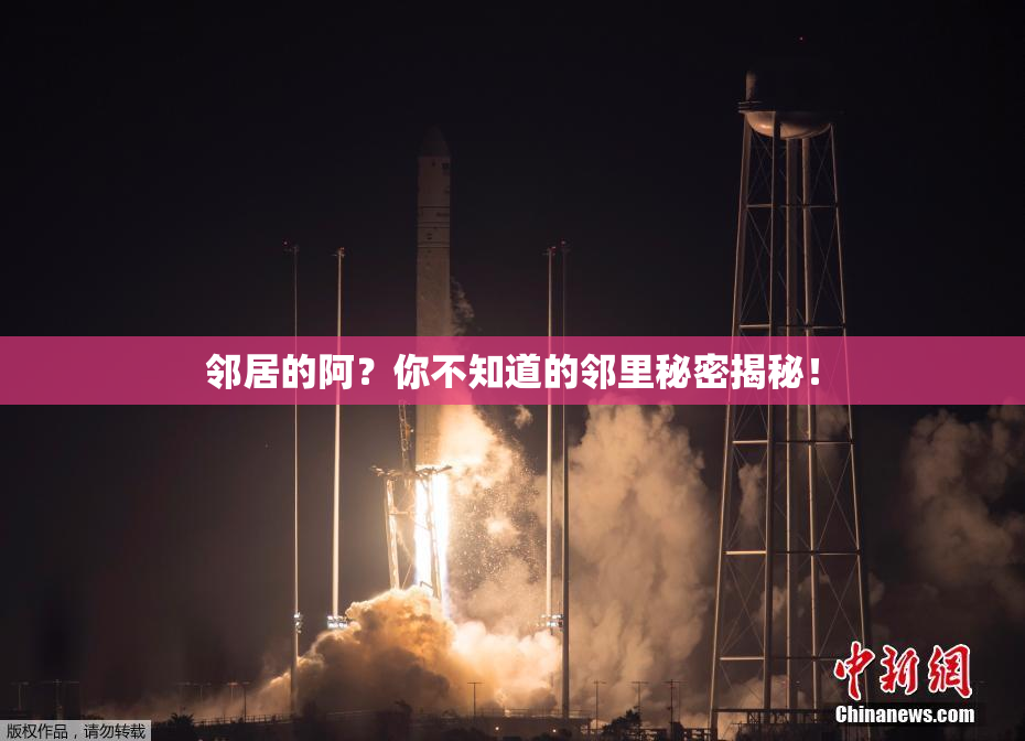 邻居的阿？你不知道的邻里秘密揭秘！