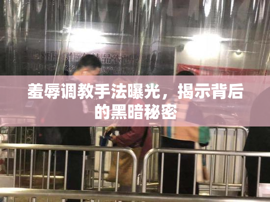 羞辱调教手法曝光，揭示背后的黑暗秘密
