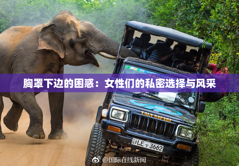 胸罩下边的困惑：女性们的私密选择与风采