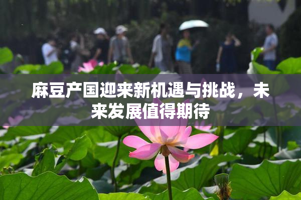 麻豆产国迎来新机遇与挑战，未来发展值得期待