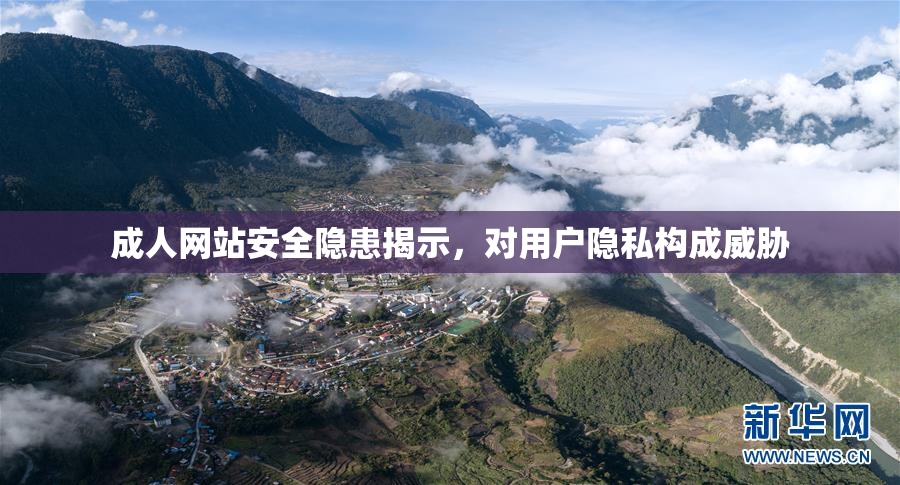 成人网站安全隐患揭示，对用户隐私构成威胁