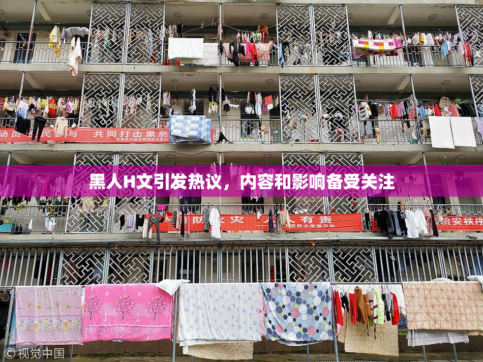 黑人H文引发热议，内容和影响备受关注
