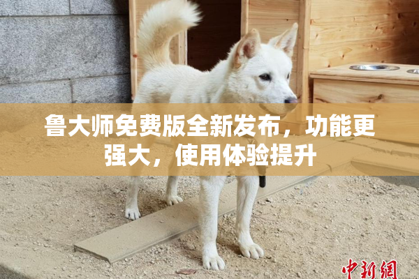 鲁大师免费版全新发布，功能更强大，使用体验提升