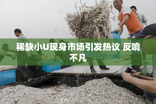 稀缺小U现身市场引发热议 反响不凡