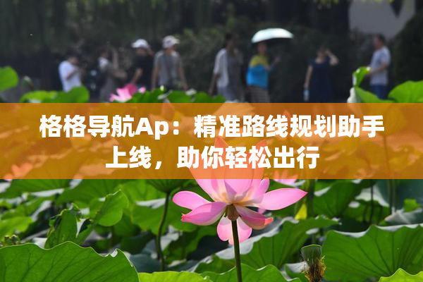 格格导航Ap：精准路线规划助手上线，助你轻松出行