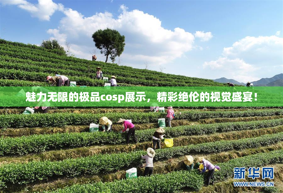 魅力无限的极品cosp展示，精彩绝伦的视觉盛宴！