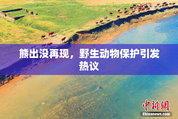 熊出没再现，野生动物保护引发热议