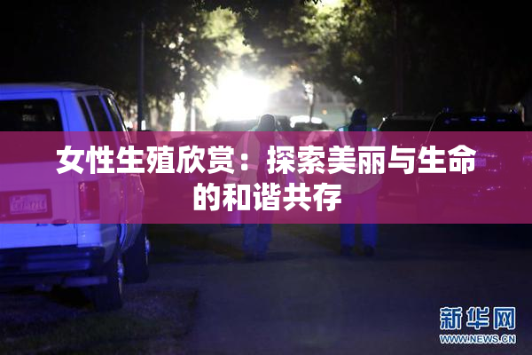 女性生殖欣赏：探索美丽与生命的和谐共存