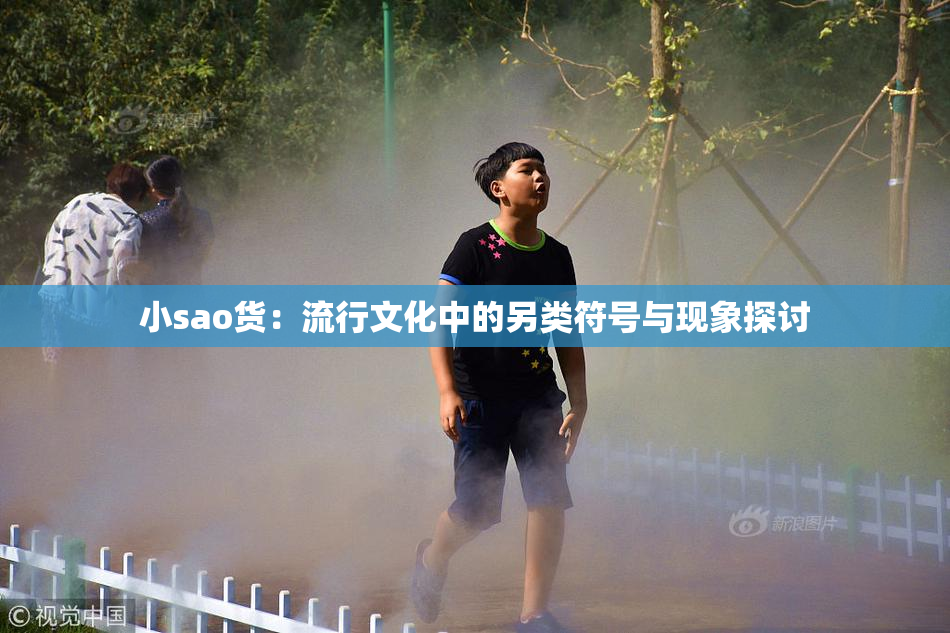 小sao货：流行文化中的另类符号与现象探讨