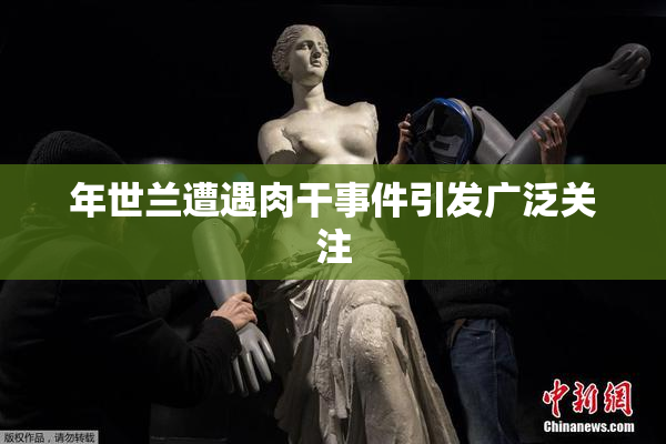 年世兰遭遇肉干事件引发广泛关注
