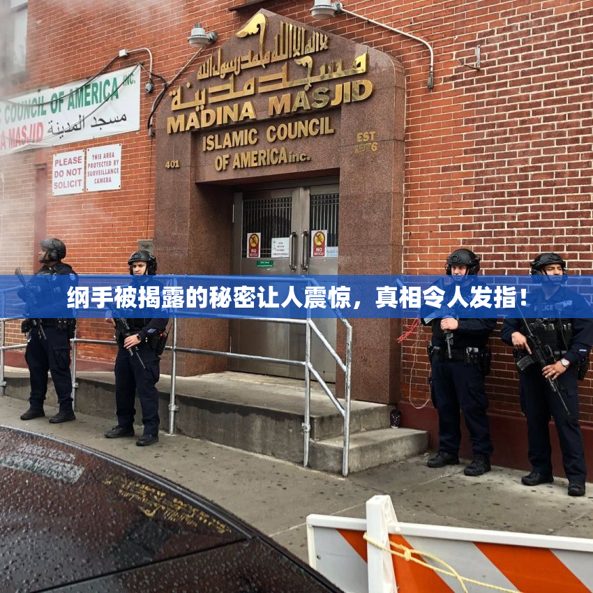 纲手被揭露的秘密让人震惊，真相令人发指！