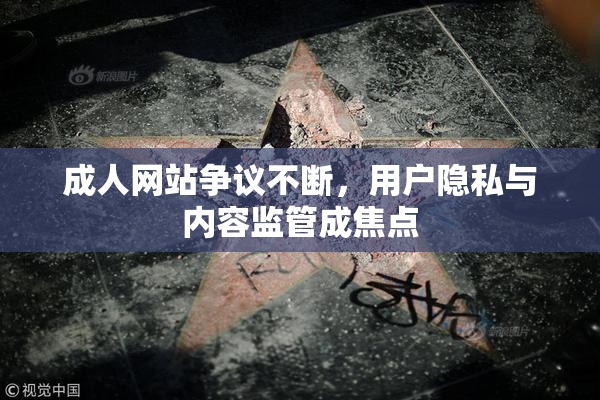 成人网站争议不断，用户隐私与内容监管成焦点
