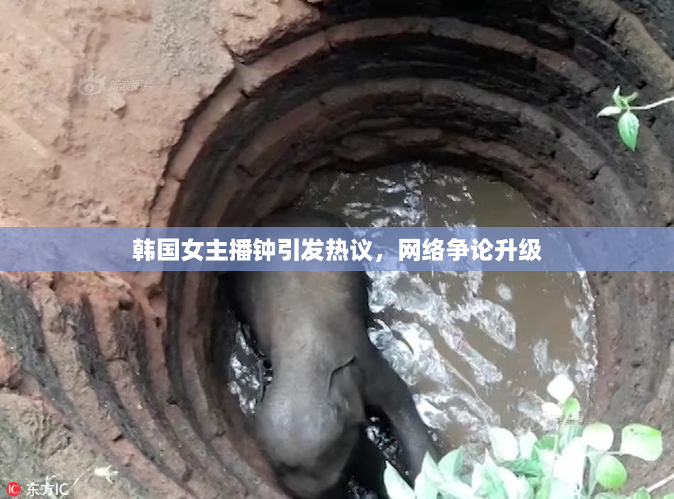 韩国女主播钟引发热议，网络争论升级