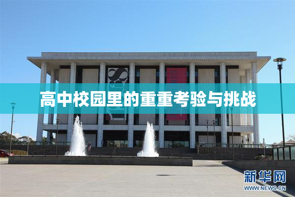 高中校园里的重重考验与挑战