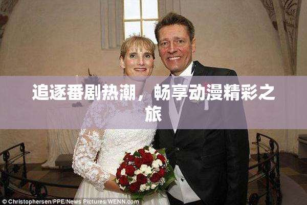追逐番剧热潮，畅享动漫精彩之旅