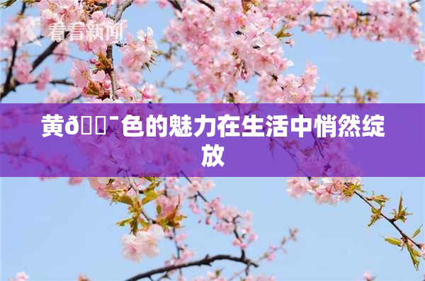 黄🔯色的魅力在生活中悄然绽放