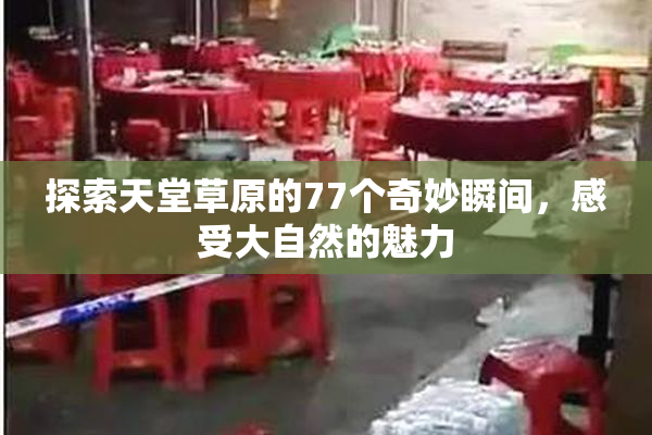 探索天堂草原的77个奇妙瞬间，感受大自然的魅力