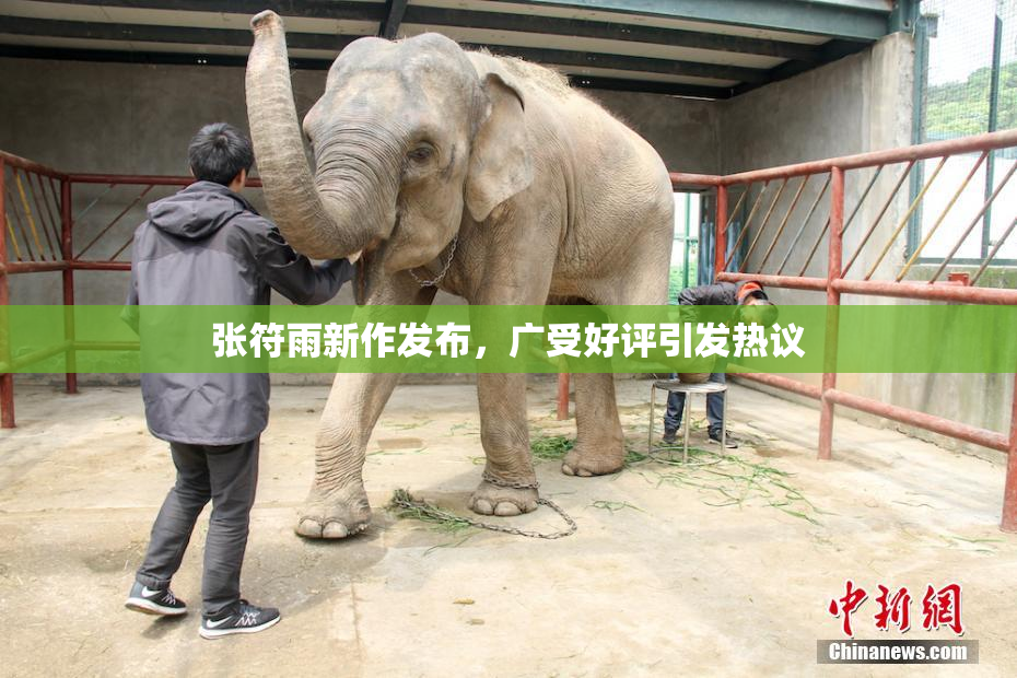 张符雨新作发布，广受好评引发热议