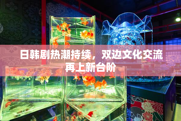 日韩剧热潮持续，双边文化交流再上新台阶