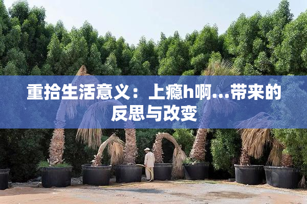 重拾生活意义：上瘾h啊…带来的反思与改变
