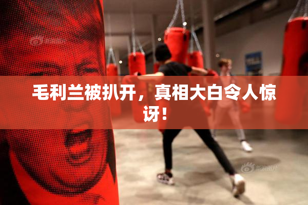 毛利兰被扒开，真相大白令人惊讶！