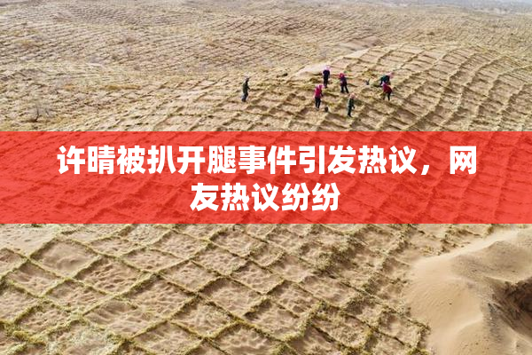 许晴被扒开腿事件引发热议，网友热议纷纷