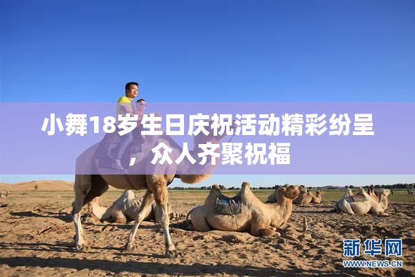 小舞18岁生日庆祝活动精彩纷呈，众人齐聚祝福