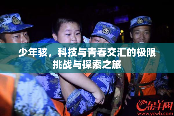 少年骇，科技与青春交汇的极限挑战与探索之旅