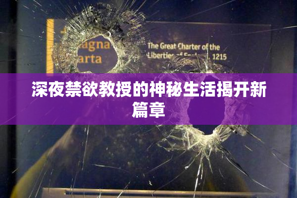 深夜禁欲教授的神秘生活揭开新篇章
