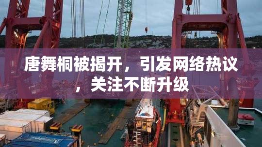 唐舞桐被揭开，引发网络热议，关注不断升级