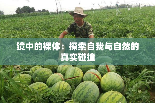 镜中的裸体：探索自我与自然的真实碰撞