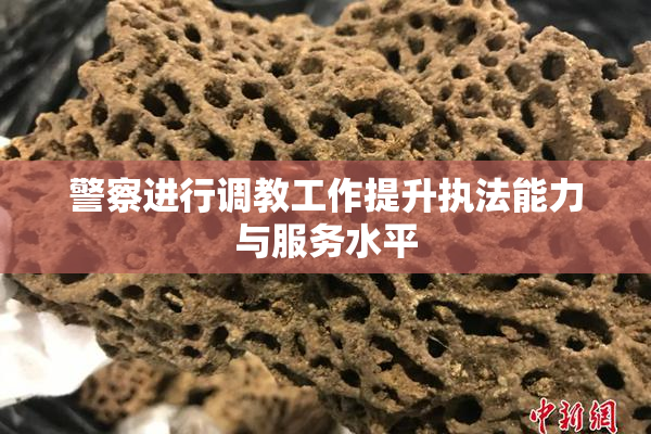 警察进行调教工作提升执法能力与服务水平