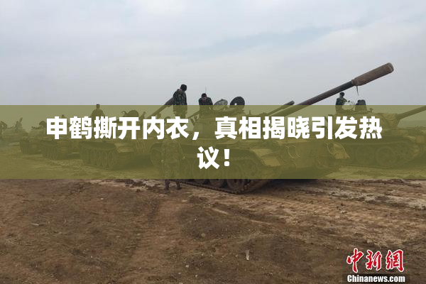 申鹤撕开内衣，真相揭晓引发热议！