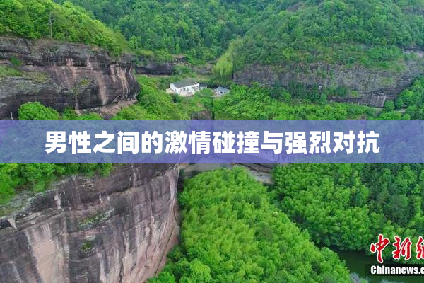男性之间的激情碰撞与强烈对抗