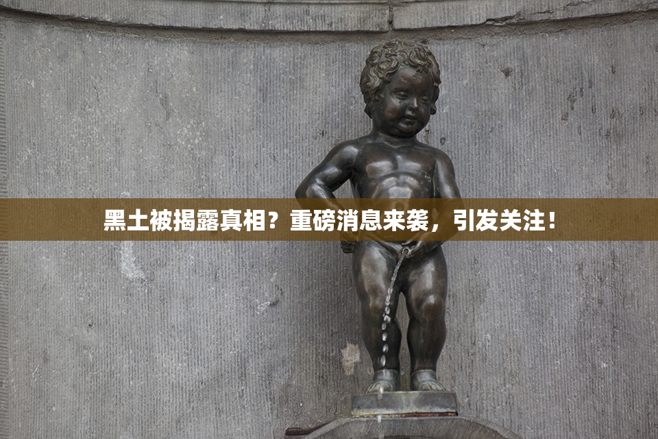 黑土被揭露真相？重磅消息来袭，引发关注！