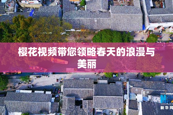 樱花视频带您领略春天的浪漫与美丽
