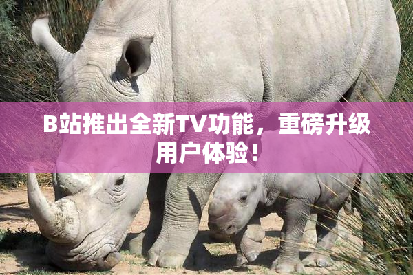 B站推出全新TV功能，重磅升级用户体验！