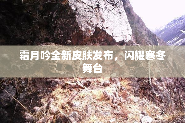 霜月吟全新皮肤发布，闪耀寒冬舞台