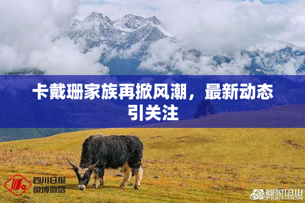 卡戴珊家族再掀风潮，最新动态引关注