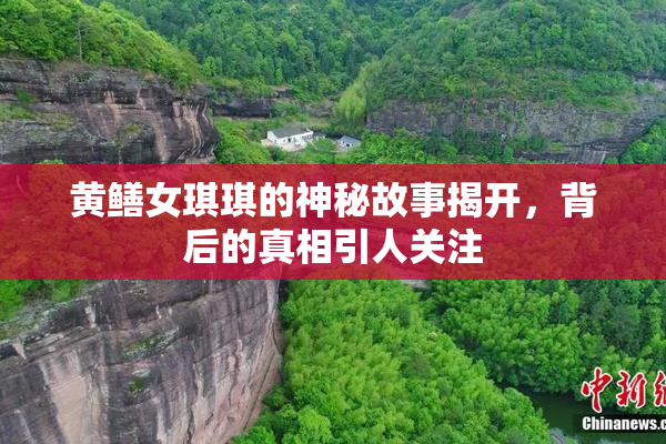 黄鳝女琪琪的神秘故事揭开，背后的真相引人关注