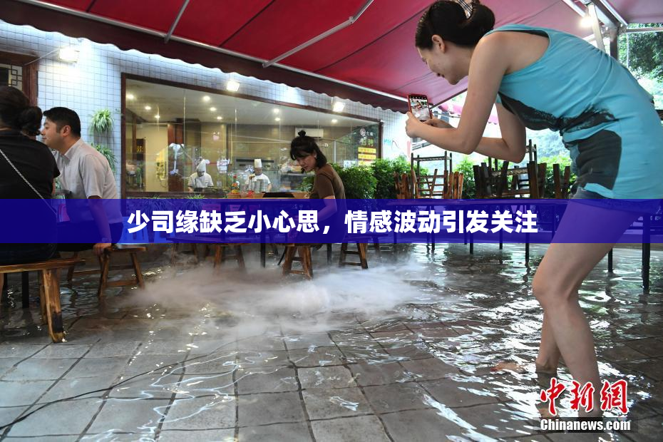 少司缘缺乏小心思，情感波动引发关注
