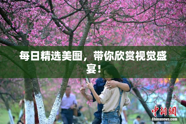 每日精选美图，带你欣赏视觉盛宴！